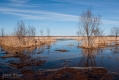 076_Biebrza - kwiecien 2013